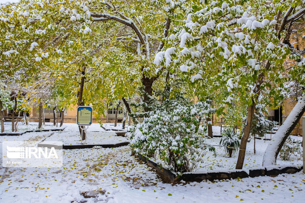 بارش برف و باران زنجان را فرا گرفت