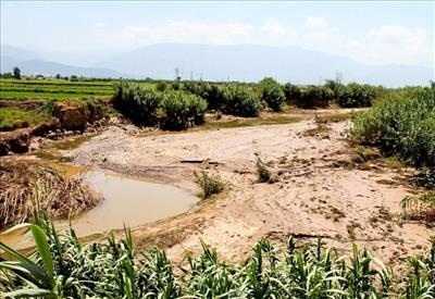 خسارت سیل شرق مازندران 330 میلیارد تومان برآورد شد  رانش مهم‌ترین تهدید جاده های روستایی  بیشترین خسارت مربوط به بخش کشاورزی است