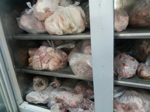 دامپزشکی کرمانشاه 250 کیلوگرم گوشت و آلایش دامی ناسالم را معدوم کرد