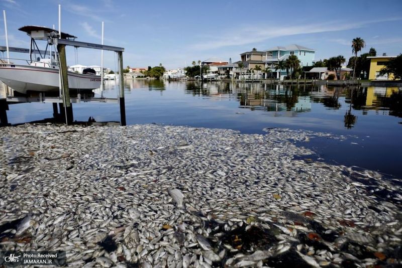 منتخب تصاویر امروز جهان- 31 تیر 1400