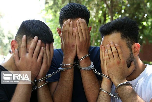 ۴۳ سارق در شهرستان دشتستان دستگیر شدند