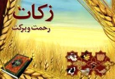 لزوم اطلاع‌رسانی برکات ذکات