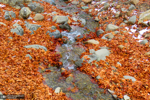 روستای «سنگان»