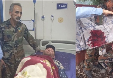 قاچاقچیان چوب به جنگلبان رودباری حمله کردند + عکس/ ضارب تحت تعقیب است