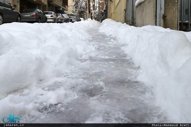 کلاردشت سفیدپوش شد!