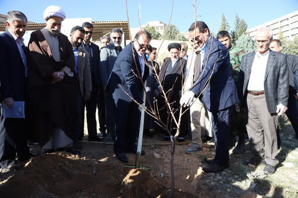 استاندار فارس: کوشش‌ها برای حفظ محیط زیست باید فزونی یابد