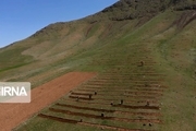 بذر یونجه در ۲۳۴ هکتار از دیمزارهای کم بازده کردستان توزیع شد