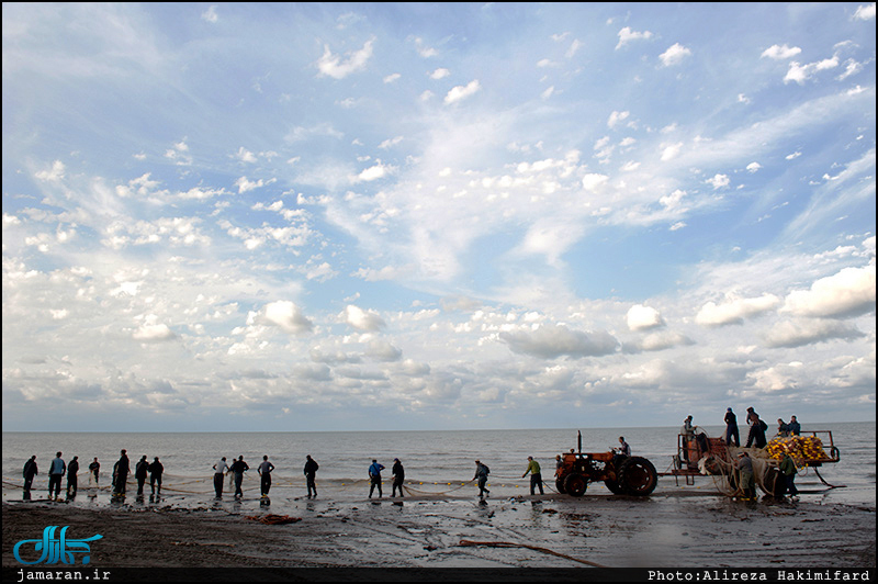 به مناسبت روز جهانی کارگر؛ ارزشمندترین طبقه / کارگر / کارگران