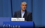 اسلامی، رییس سازمان انرژی اتمی: برجام نباید به هزینه تنها یک عضو اجرا شود/ اقدامات داوطلبانه برجامی ایران، در ازای لغو تحریم‌های ظالمانه بوده است