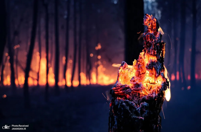 منتخب تصاویر امروز جهان - 30 تیر 1401