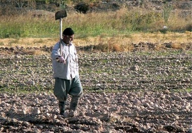 78 هزار خانوار روستایی در آذربایجان غربی بیمه هستند