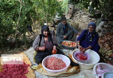 ۹۸ صندوق محله برای زنان روستایی در آذربایجان‌غربی فعال است