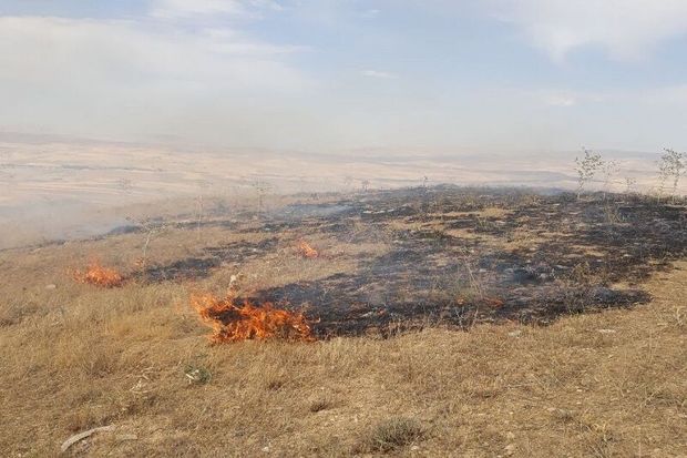 عاملان آتش‌سوزی منابع‌طبیعی در ساردوئیه به دستگاه قضا احضار شدند
