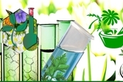 ایجاد شبکه علمی در حوزه زیست فناوری گیاهان دارویی