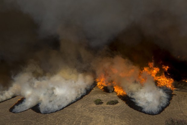 ادامه گسترده ترین آتش سوزی جنگلی تاریخ آمریکا و زخم زبان ترامپ+ تصاویر