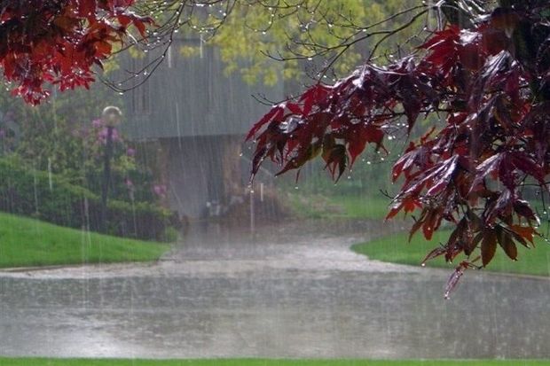 ثبت ۲۹ میلی‎متر باران در نورآباد