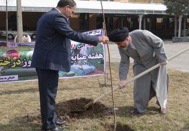 امام جمعه ارومیه: درختکاری از عوامل مهم سلامت بشریت است