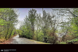 دریاچه آویدر نوشهر