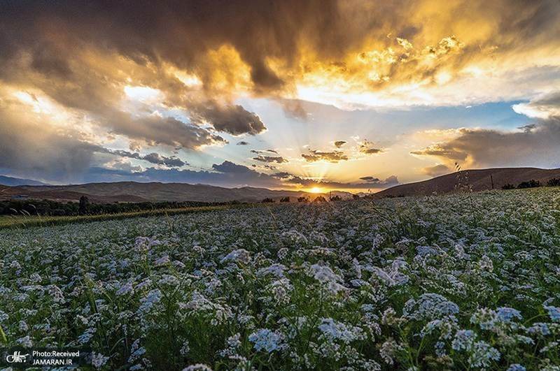 منتخب تصاویر امروز جهان- 12 تیر 1400