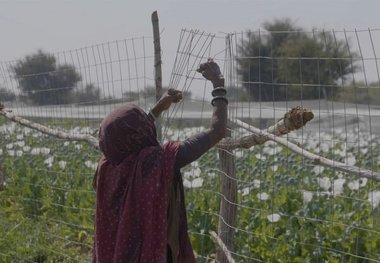 هند برای دومین سال پیاپی برنده هات داکس شد
