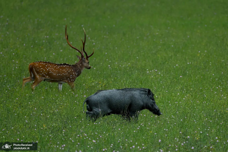 منتخب تصاویر امروز جهان - 2 شهریور 1401