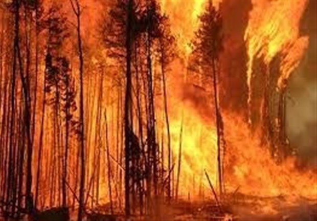 کانادا ده ها هزار نفر را در پی گسترش آتش سوزی بزرگ تخلیه می کند

