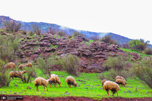 طبیعت زیبای نوسود