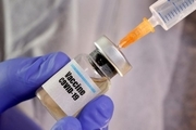 نتایج امیدوار کننده دانشگاه آکسفورد برای تولید واکسن کرونا
