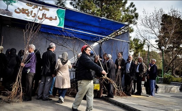 شهردار منطقه 20: پایگاه های توزیع نهال رایگان در جنوب تهران دایر می شود