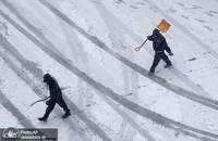 کولاک آمریکا