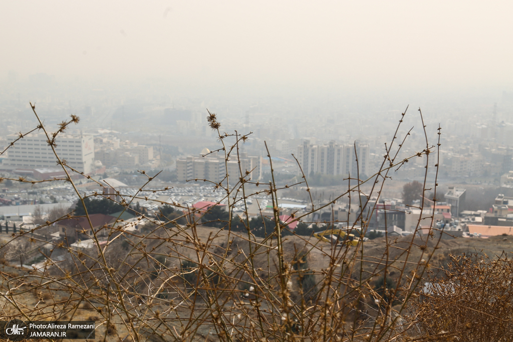 محافظت ویتامین C از سلول‌های ریه در برابر آسیب‌های آلودگی هوا
