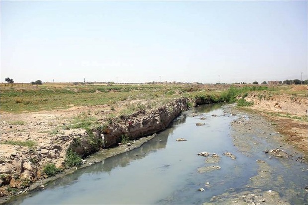 68 هکتار از بستر رودخانه ها در نیر آزاد سازی شد