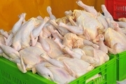 رشد 23 درصدی تولید مرغ بدون آنتی بیوتیک در آذربایجان غربی