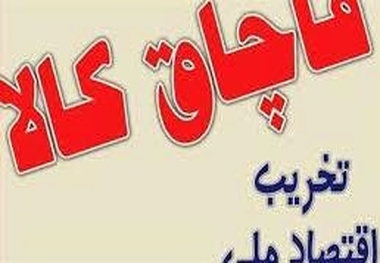 توقیف کامیون حامل گوساله قاچاق در آزادراه تهران –کرج