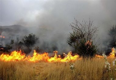 ۲ نقطه از تالاب هامون دچار آتش‌سوزی شد