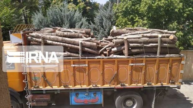 ۲۳ تُن چوب قاچاق در ماکو کشف شد