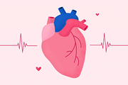 همه آنچه باید در مورد ضربان قلبتان بدانید+ جدول ضربان قلب نرمال در سنین مختلف