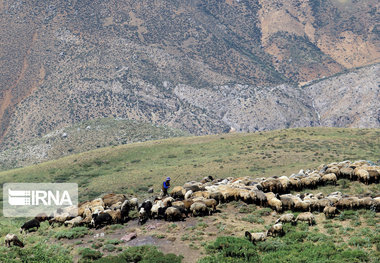 گلستان آماده میزبانی از عشایر خراسان شمالی است