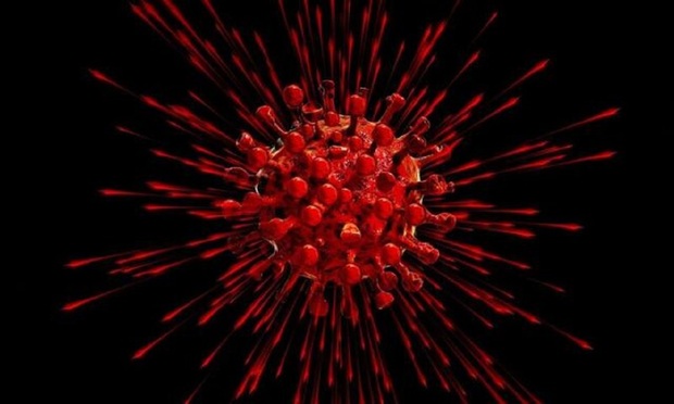 کاهش 60 درصدی فوتی های کرونا در جنوب کرمان