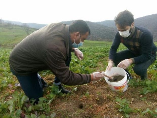 آغاز مبارزه با جوندگان در مزارع کشاورزی شیروان