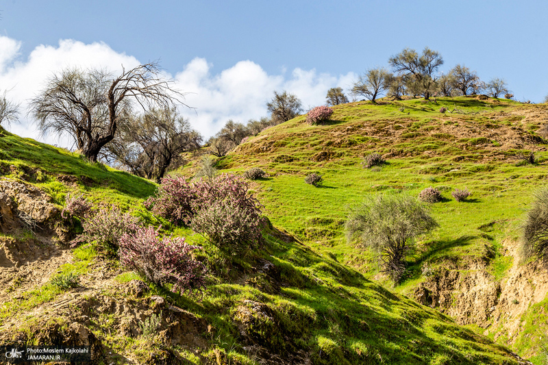 طبیعت بکر و زیبای«کفشکنان»