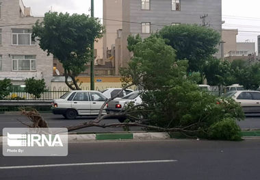 باران رگباری و تندباد موقت در تهران پیش‌بینی می‌شود