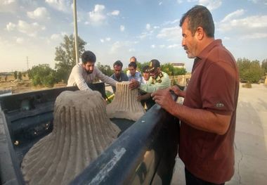 پایه آتشدان ساسانی در استان بوشهر کشف شد