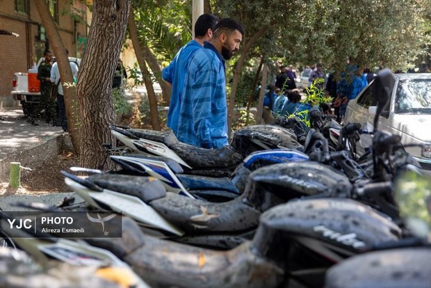 ببینید/ دستگیری سارقان خشن پایتخت