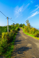طبیعت روستای بزکویه