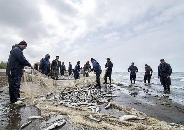 ماهیان استخوانی خزر امسال زودتر به سفره ایرانی ها می رسد