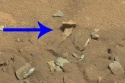جریان کشف استخوان مریخی در عکس‌های کاوشگر ناسا چیست؟
