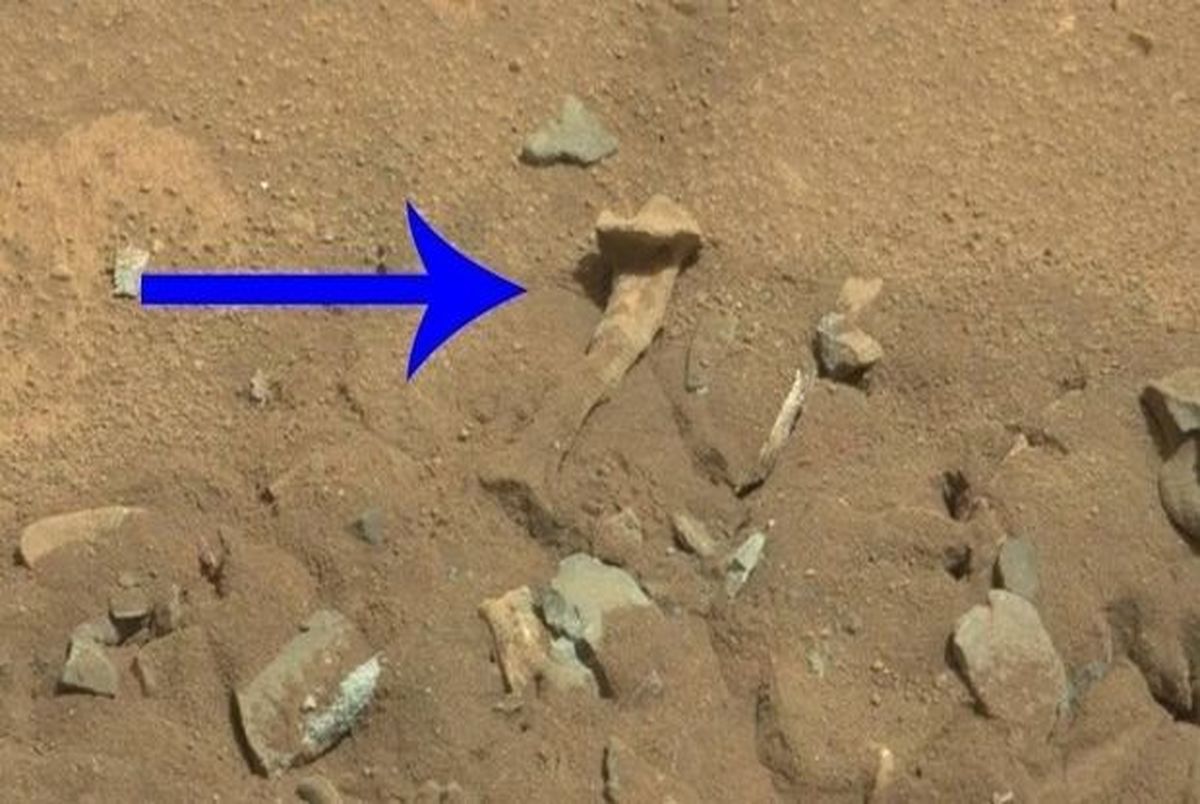 جریان کشف استخوان مریخی در عکس‌های کاوشگر ناسا چیست؟