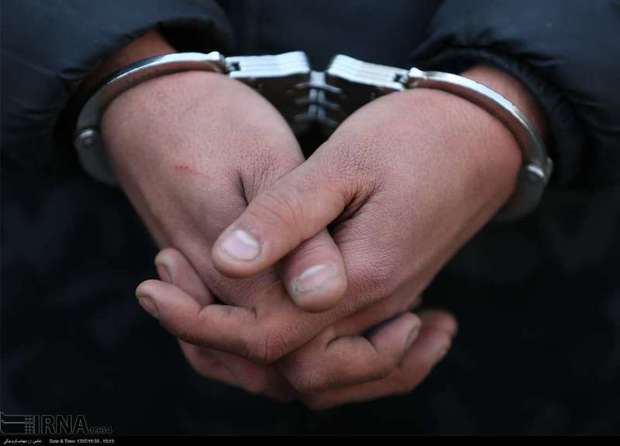 سارقی با 300 فقره سرقت در زعفرانیه دستگیر شد