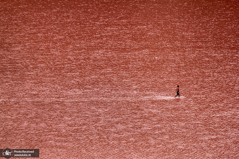 منتخب تصاویر امروز جهان- 13 تیر 1400